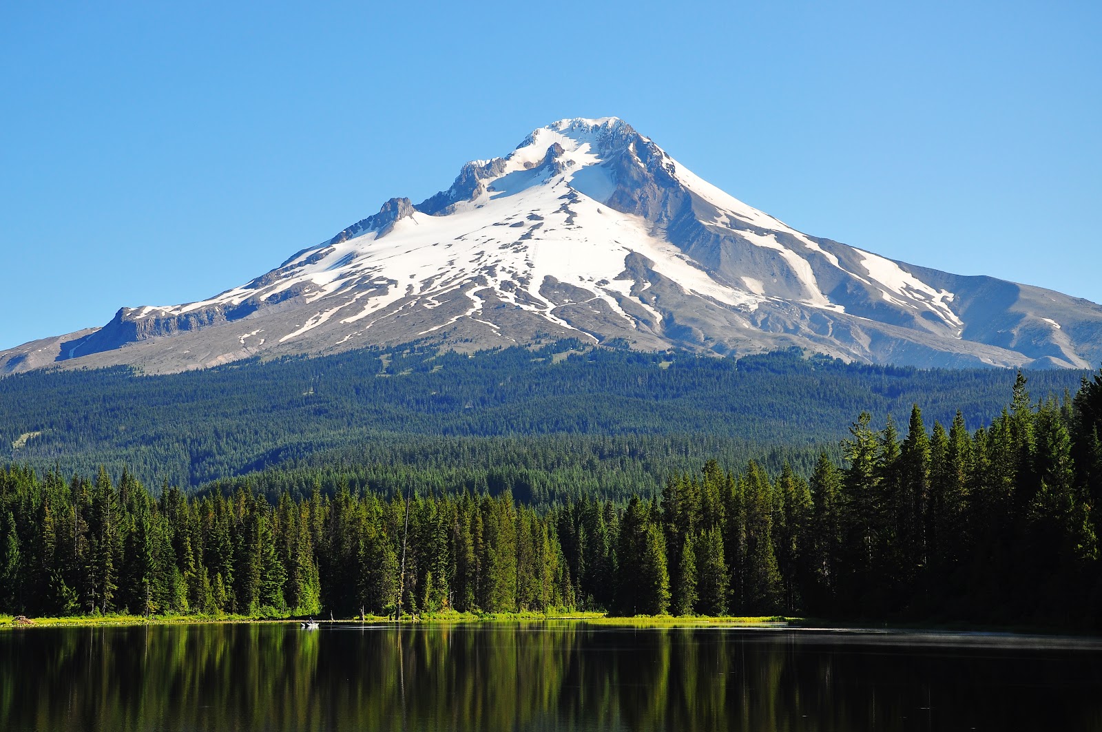 Oregon Trail Recovery